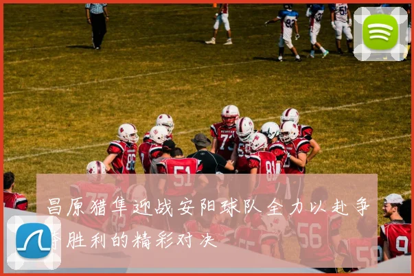 昌原猎隼迎战安阳球队全力以赴争夺胜利的精彩对决