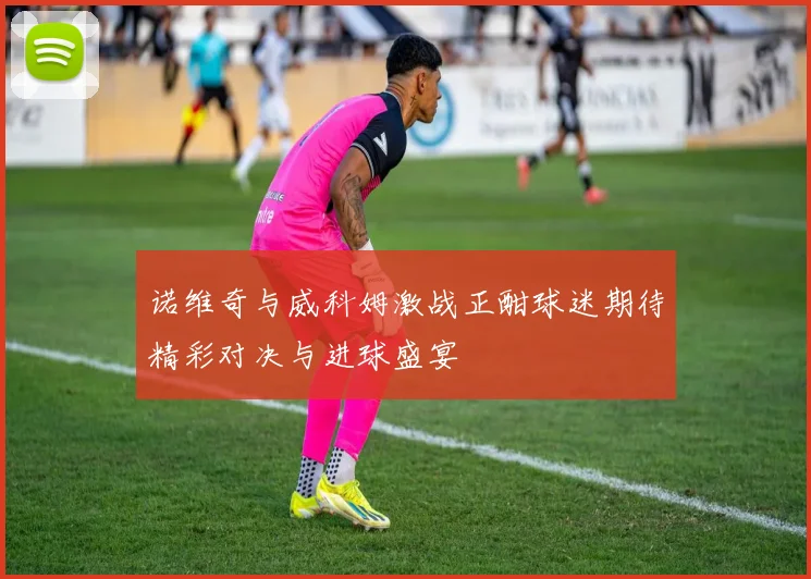 诺维奇与威科姆激战正酣球迷期待精彩对决与进球盛宴