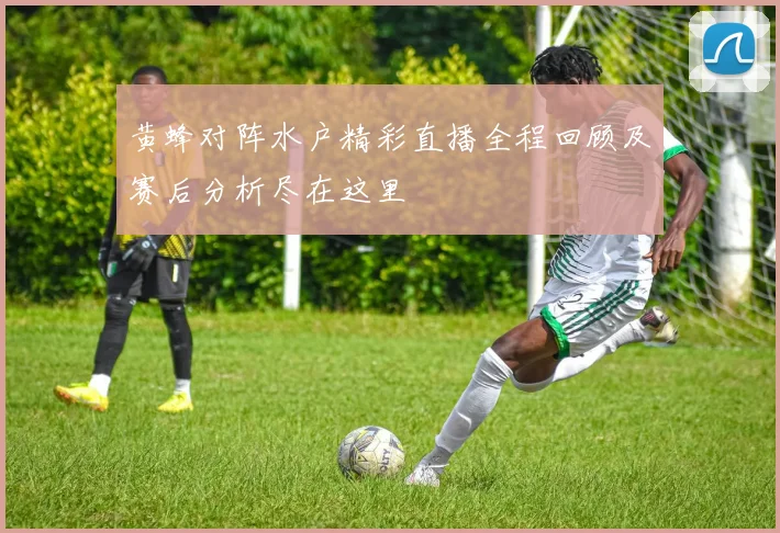 黄蜂对阵水户精彩直播全程回顾及赛后分析尽在这里