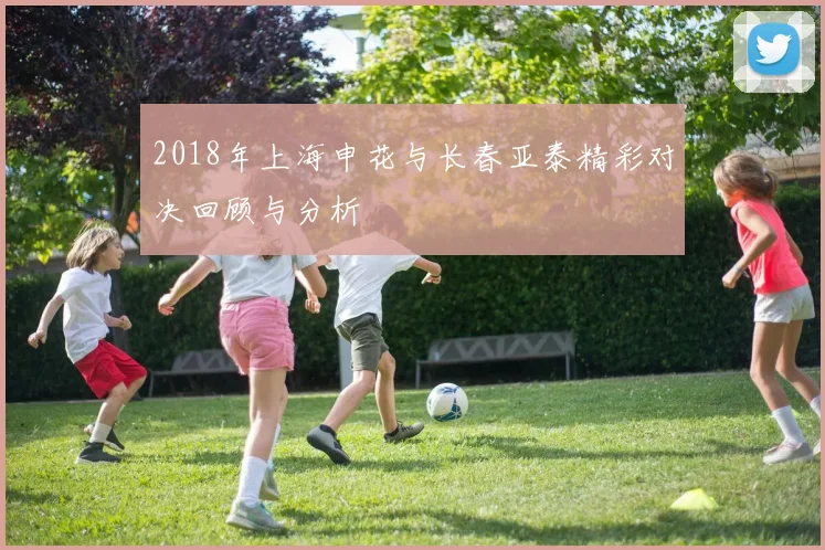 2018年上海申花与长春亚泰精彩对决回顾与分析