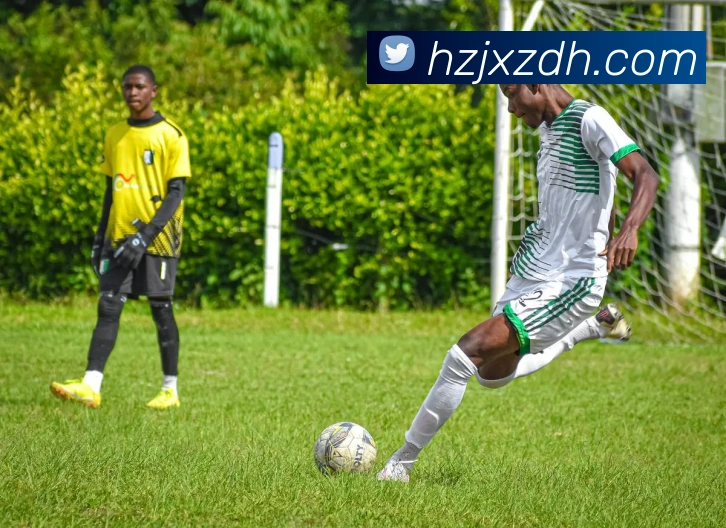 开云体育发展历程