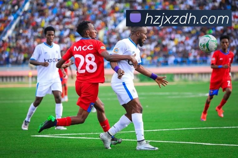 独行侠与黄蜂激战回顾20210114赛季精彩瞬间与球员表现分析